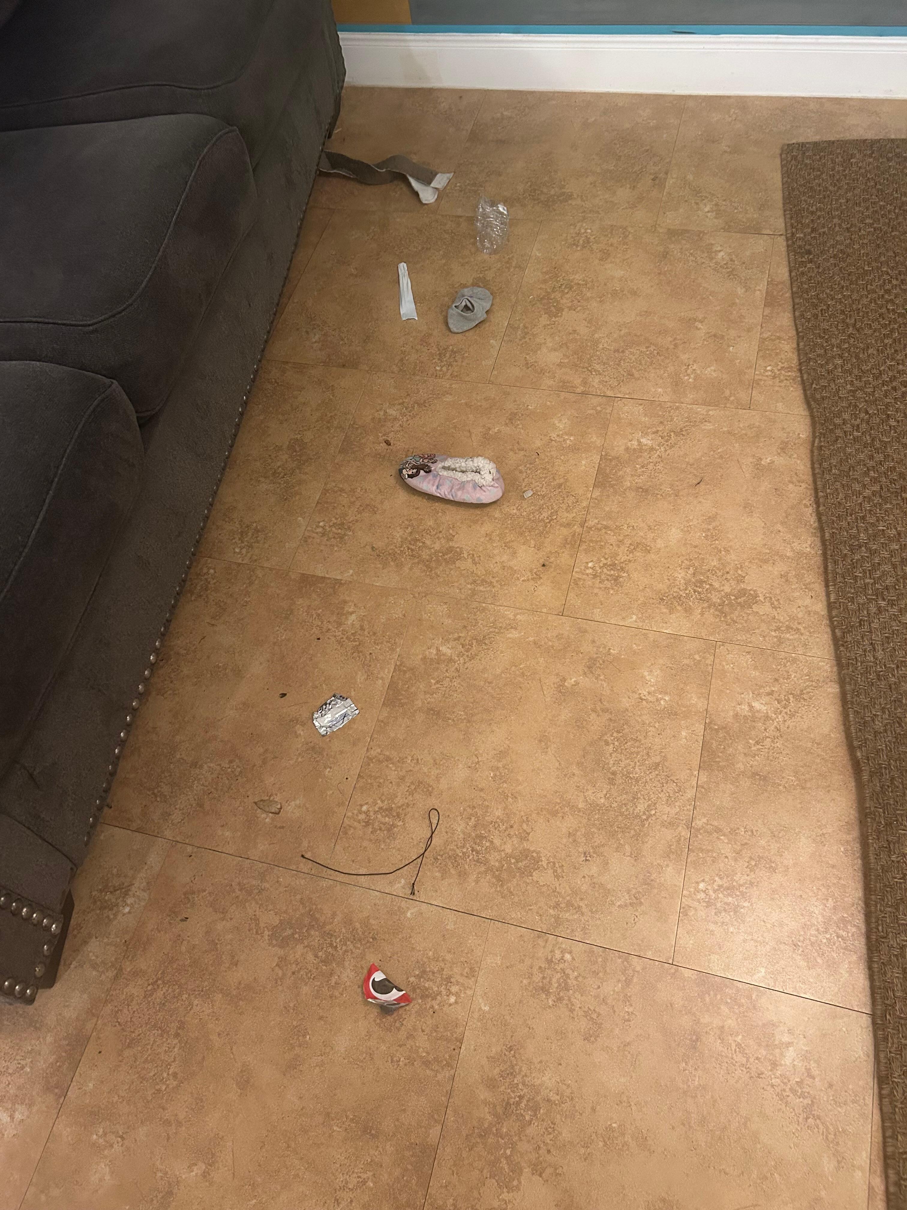 This is the trash that was left in the house out back, when we arrived.