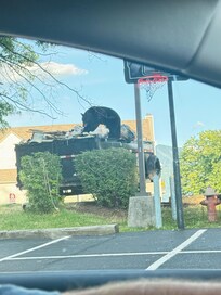 Looking for something to eat in the wrong dumpster 😂