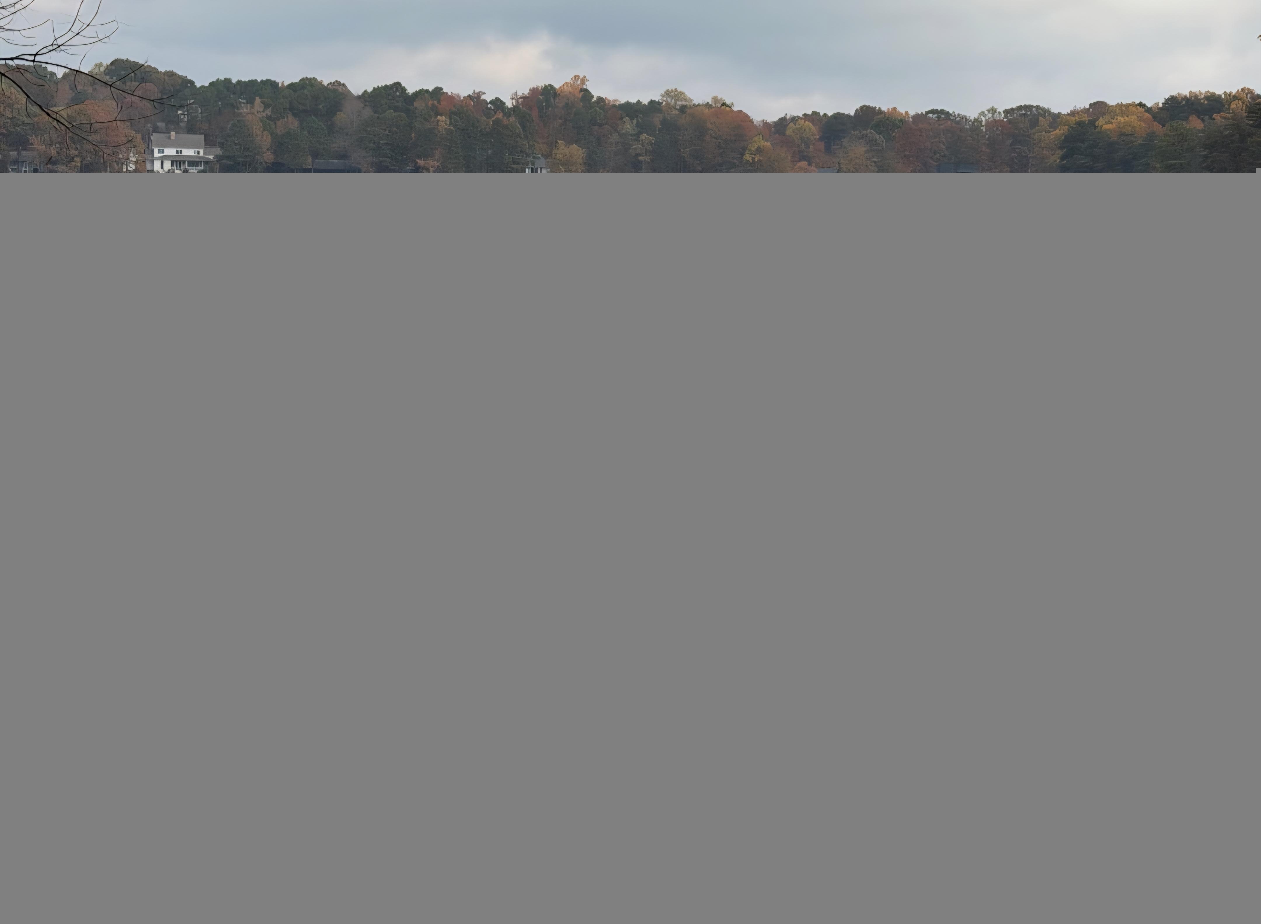 Great view and nice fireplace to celebrate my brother!