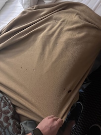 All blankets and bed itself burnt all over.