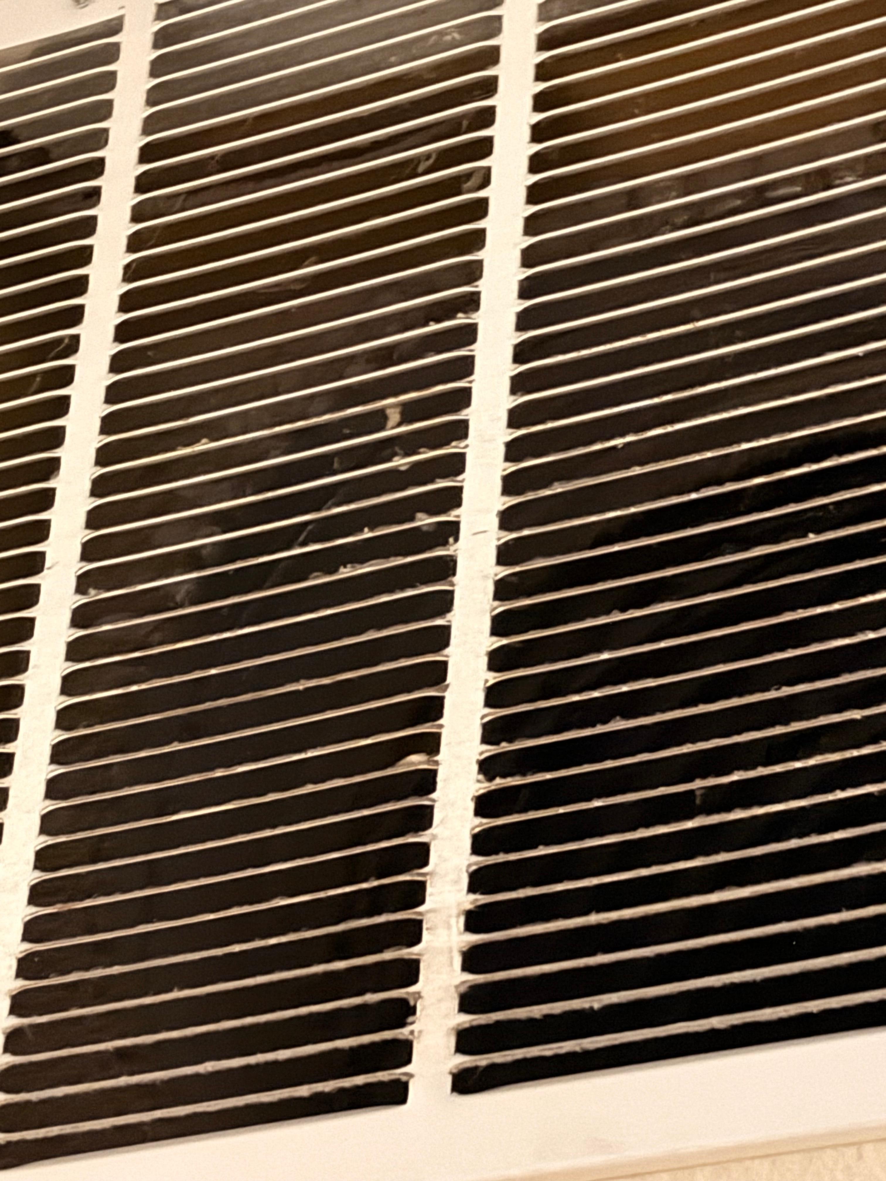 Mold on the air vent 
