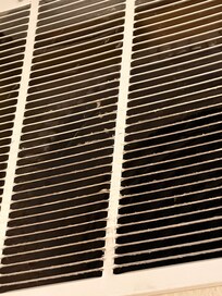 Mold on the air vent