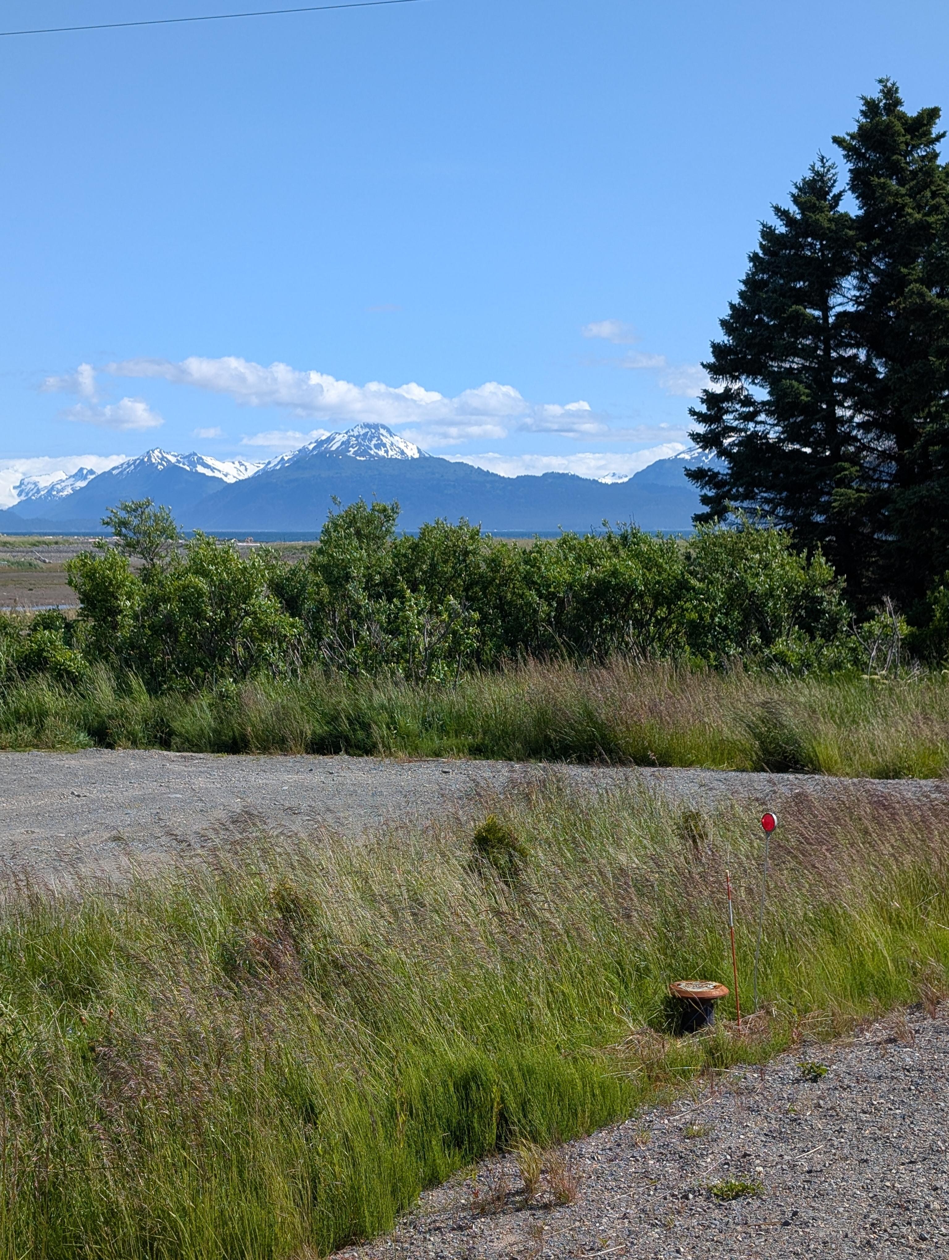 The view from the front deck