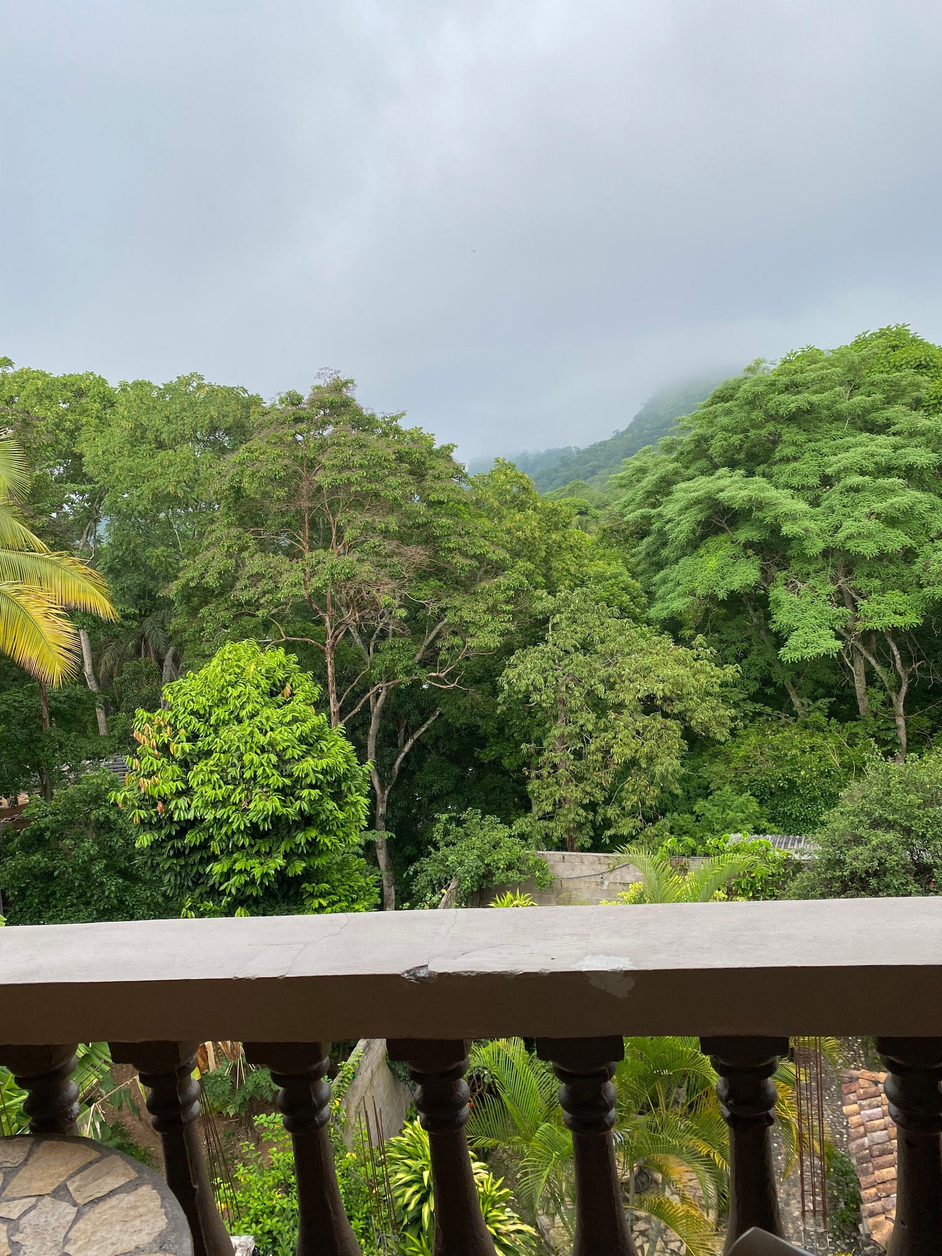 Morning view from the room balcony. 
