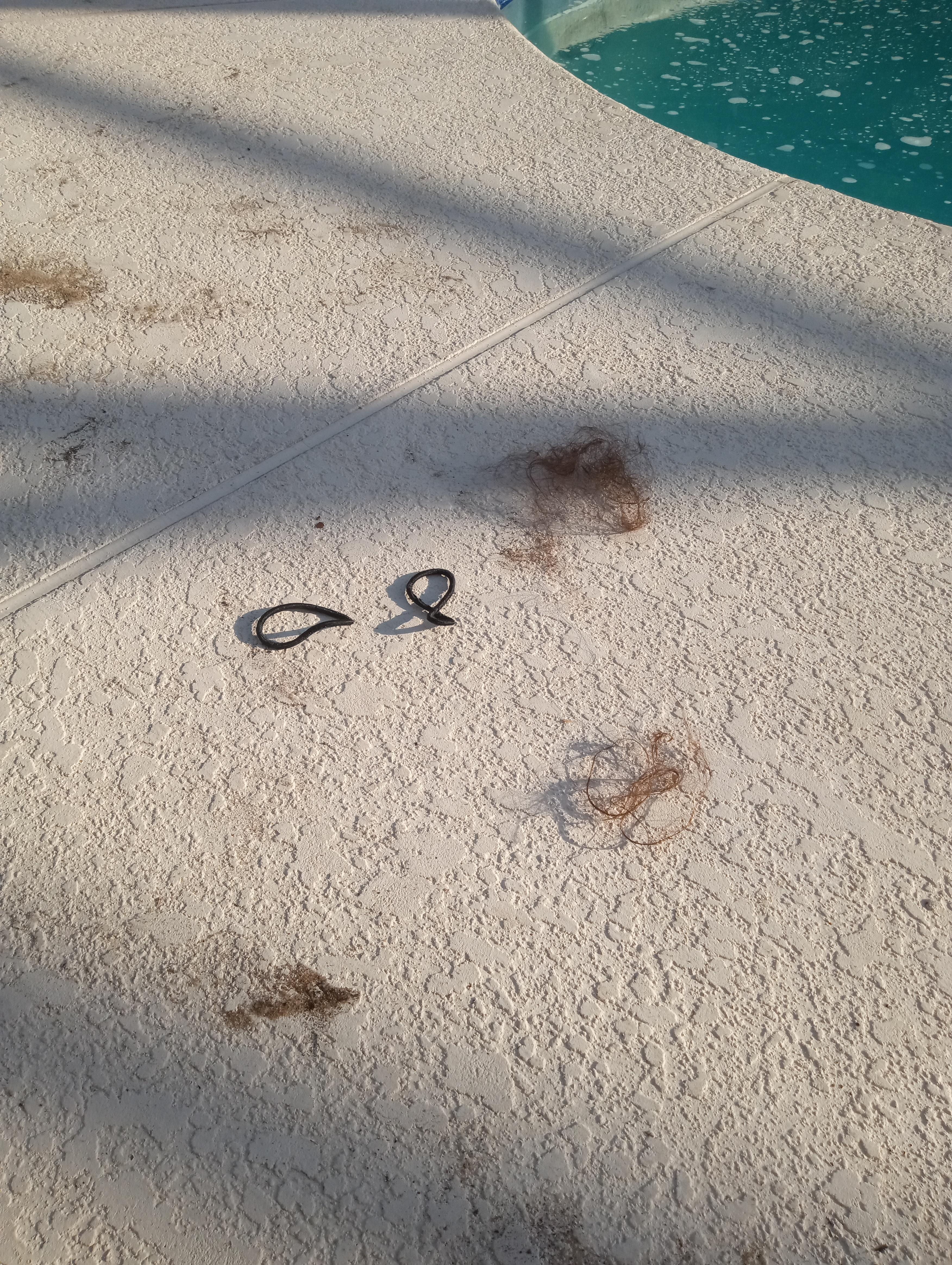 Hair and hair bands left near pool.
