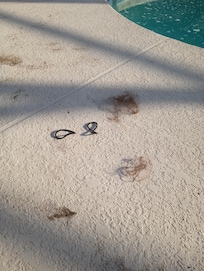 Hair and hair bands left near pool.