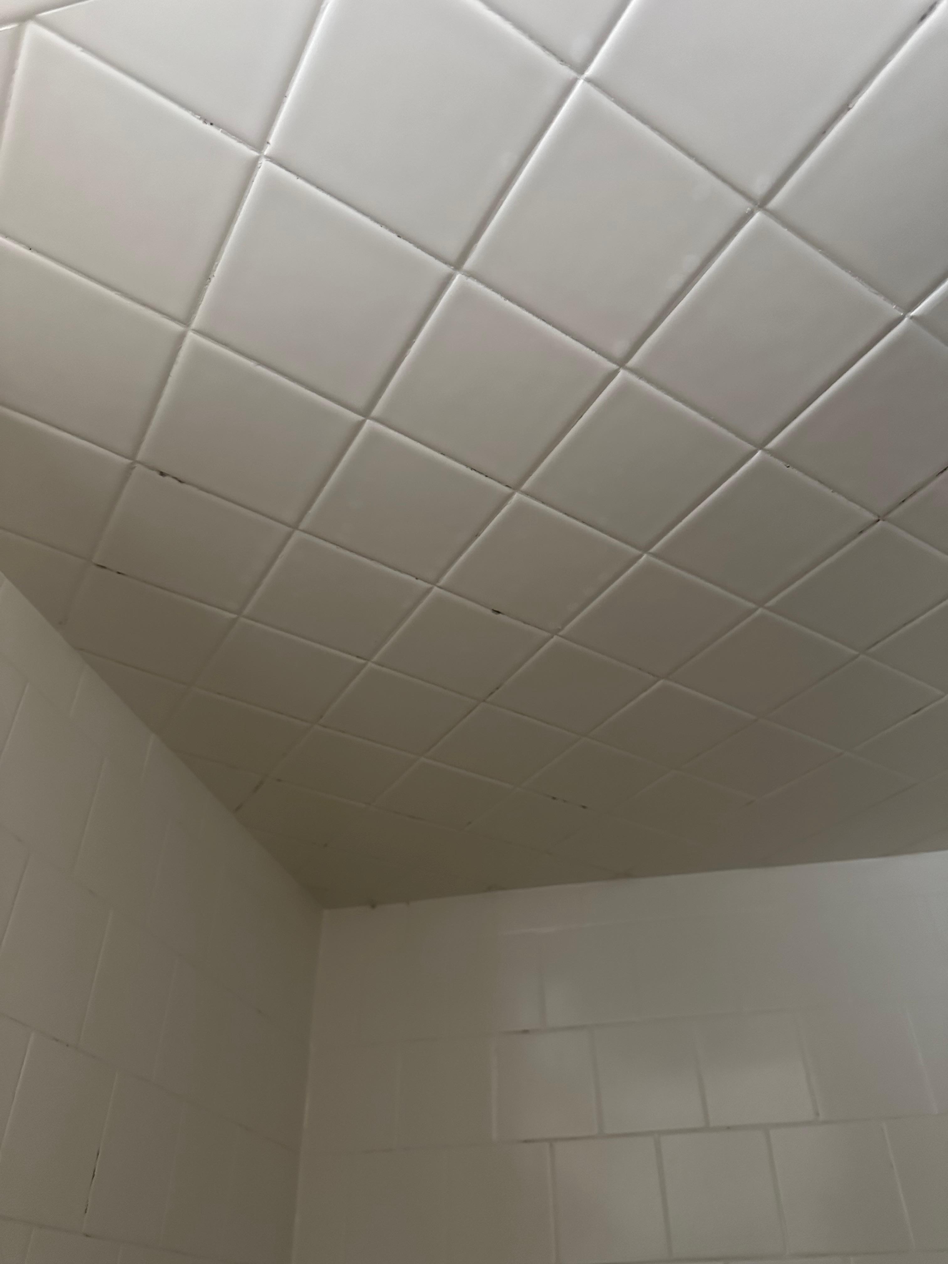 Shower ceiling mold