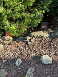 Pillows and chairs we think were blown off the decks.