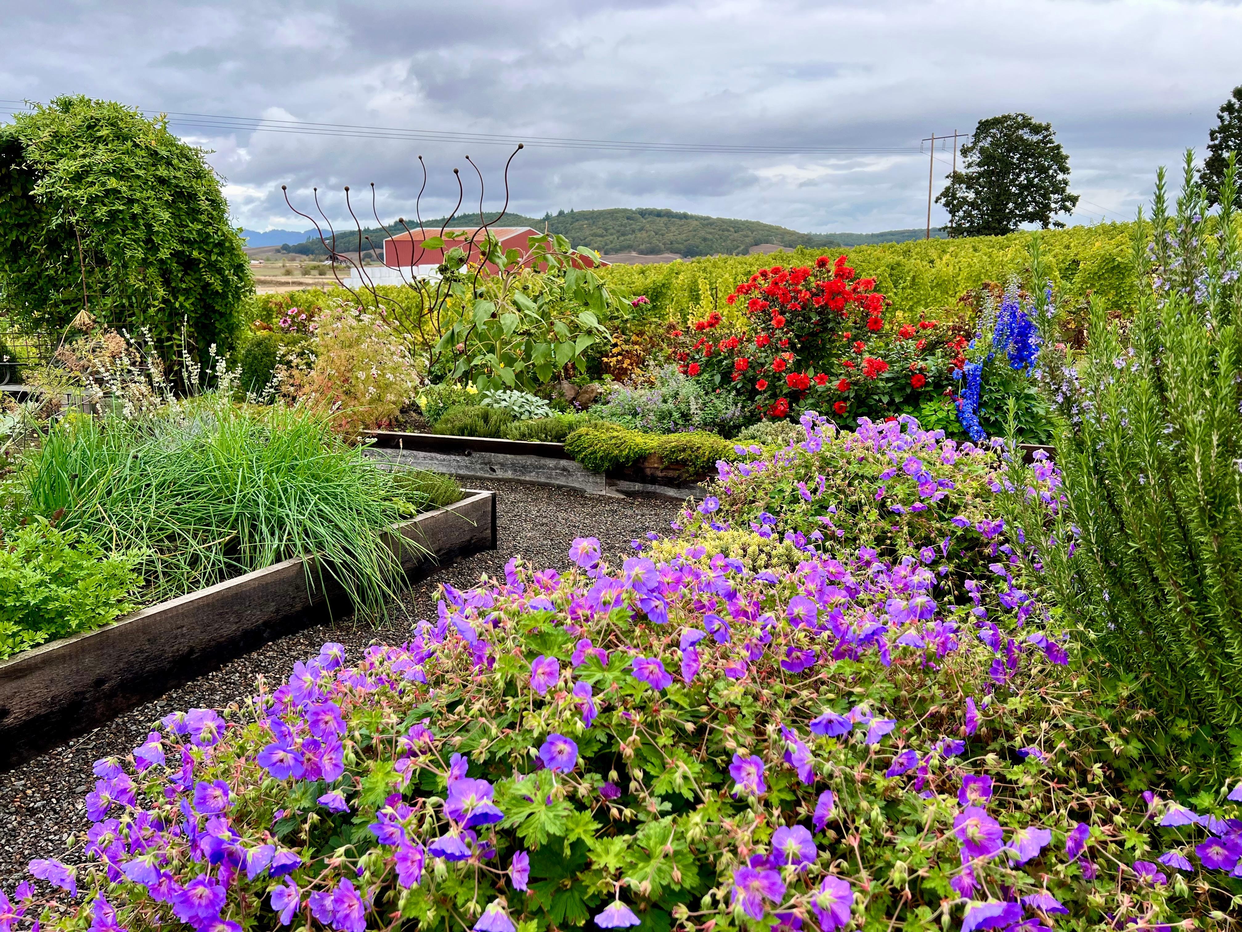 Floral gardens at a nearby vineyard 