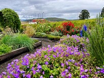 Floral gardens at a nearby vineyard