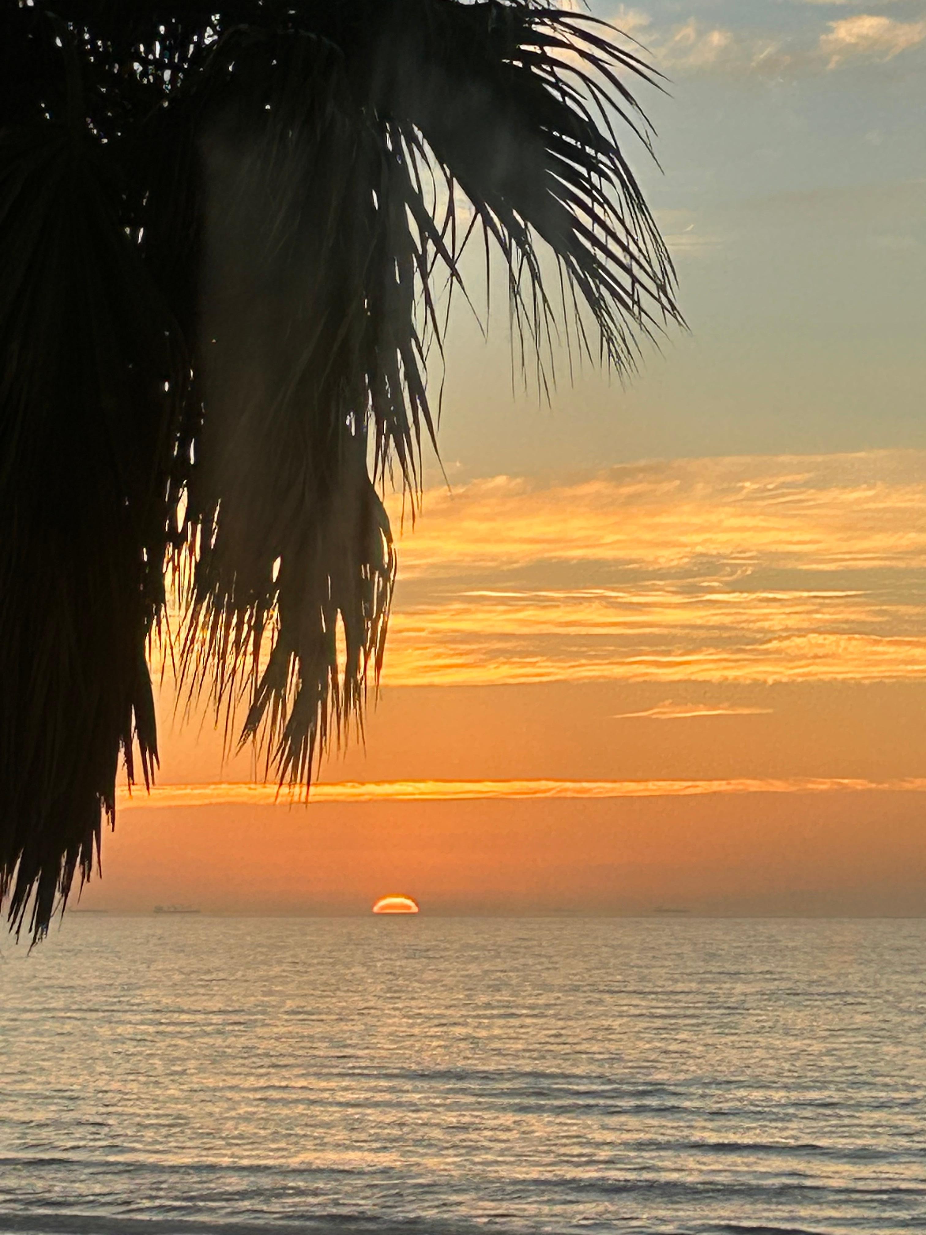 Bedroom view. Great way to wake up in the morning. 