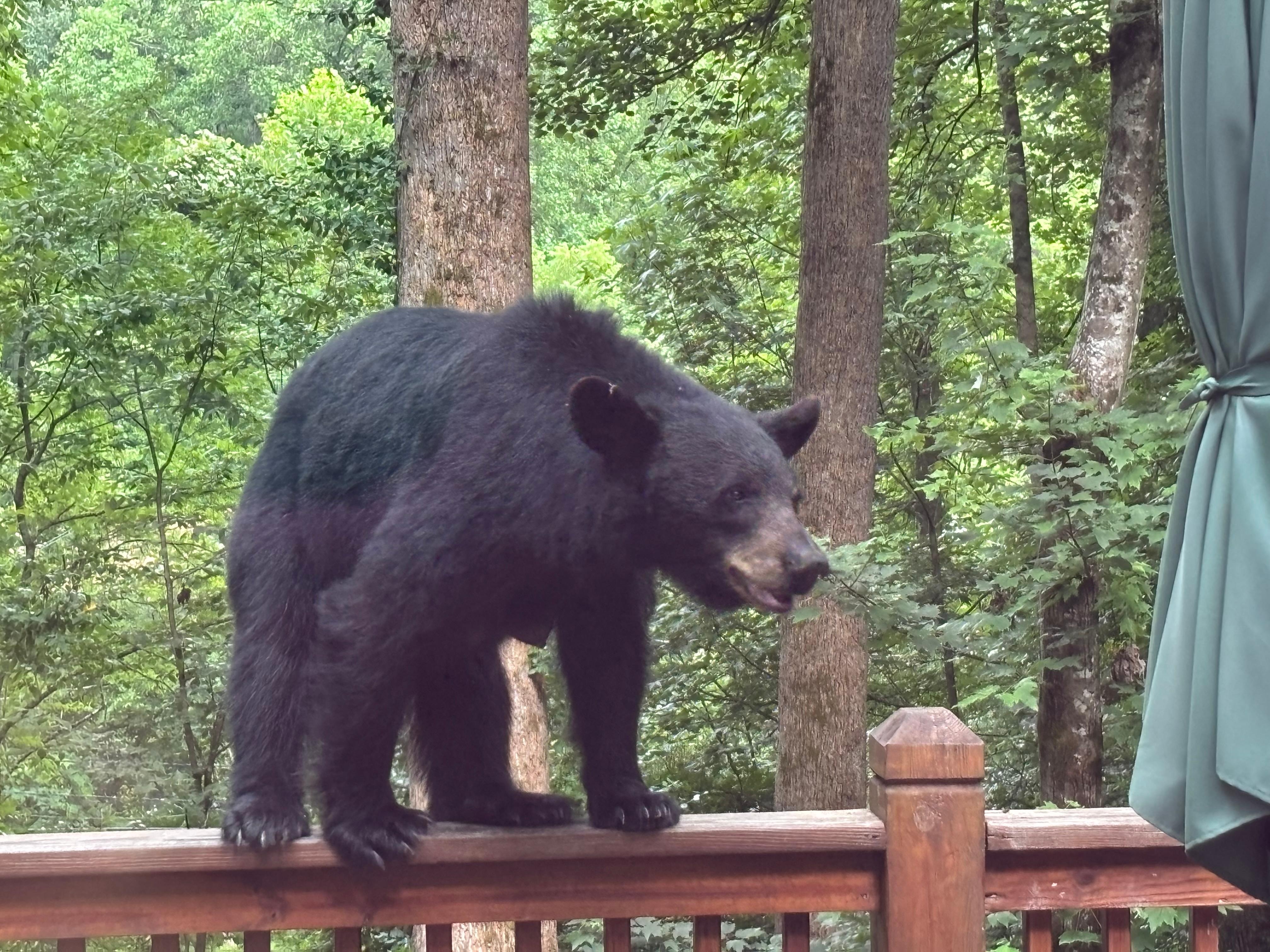 Mama wanting to get our food cooking on the grill
