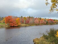 The view from the deck.