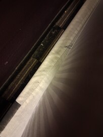 FILTHY BEDDING AND FLOORS