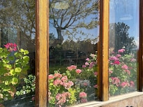 Garden room!