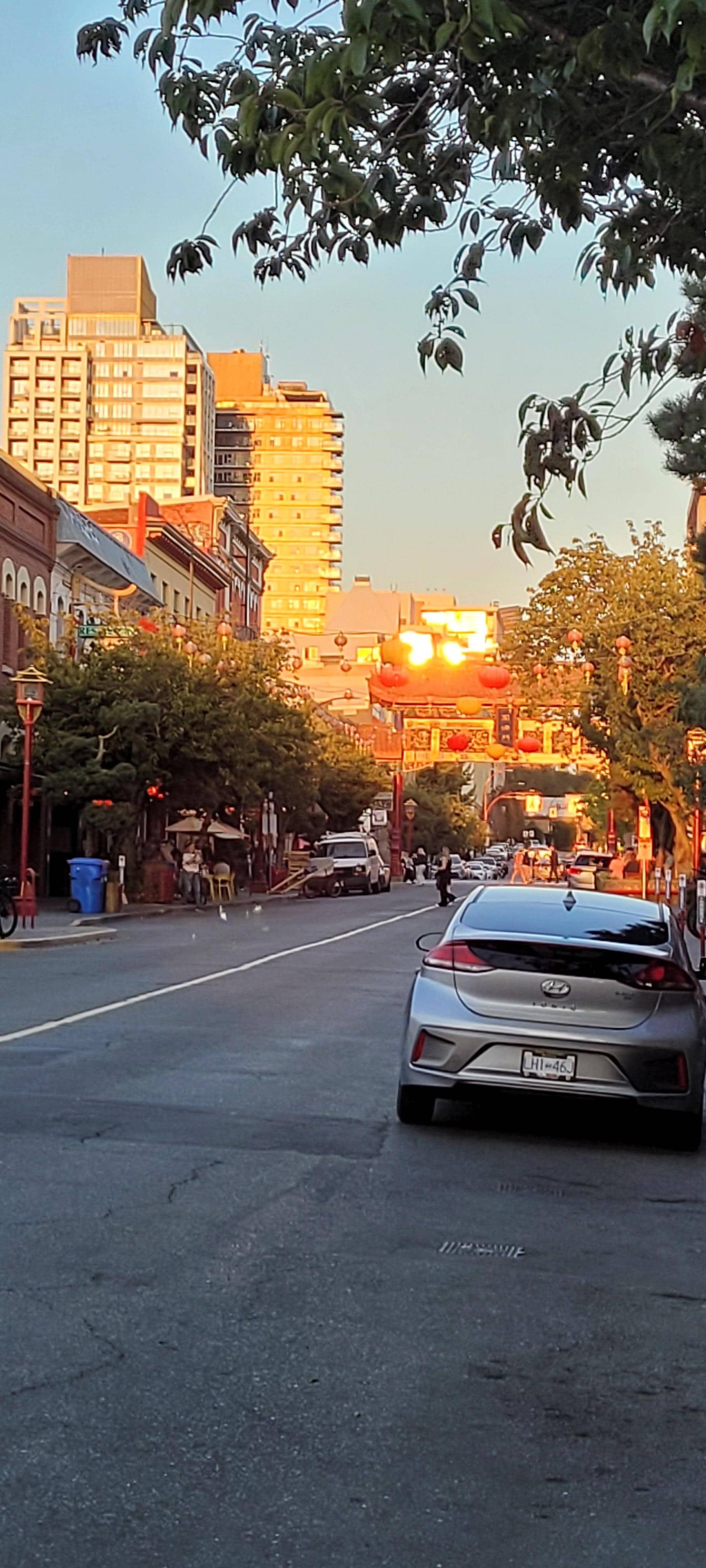 Chinatown as viewed from Government St