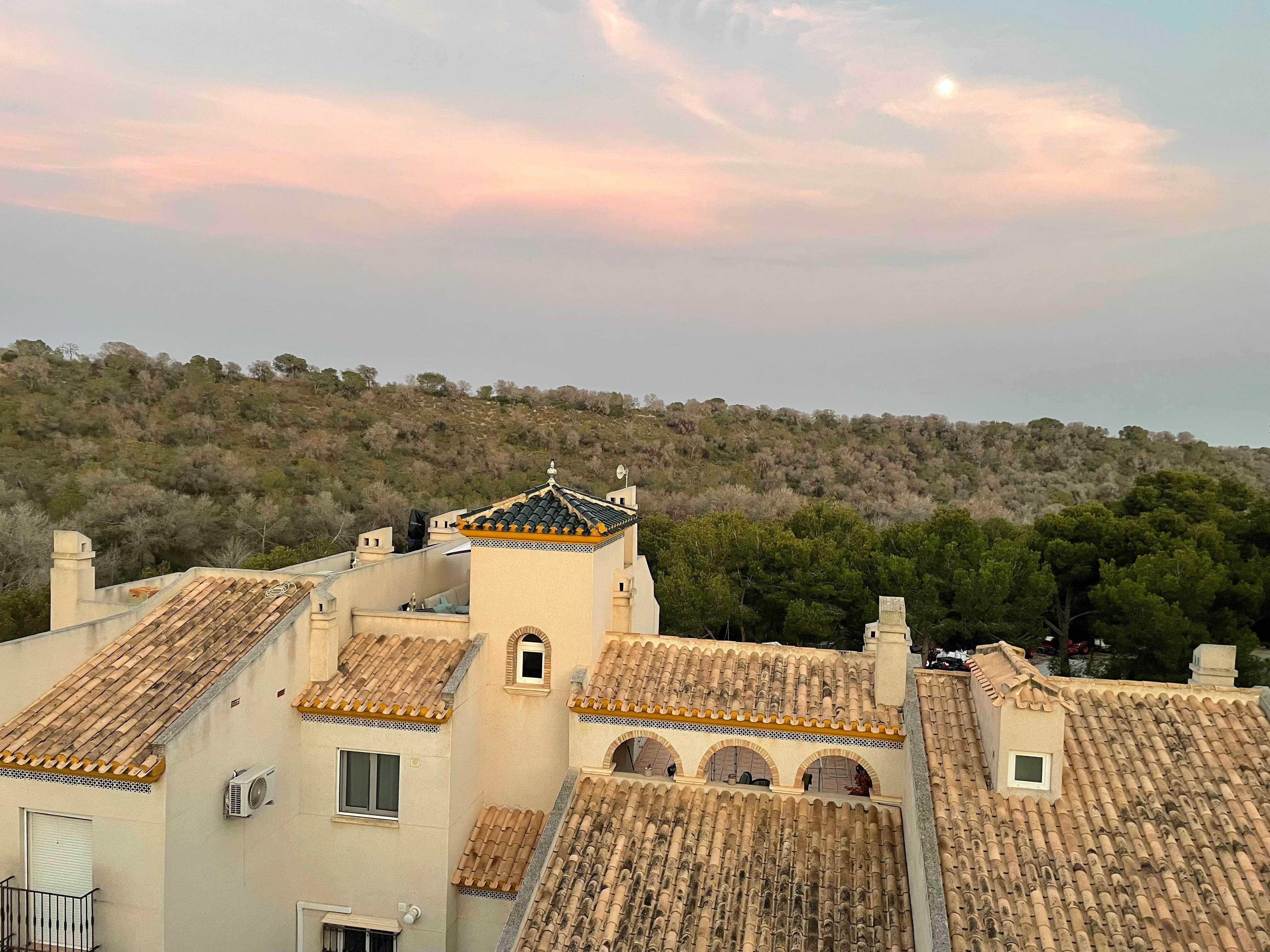 Blich von der Dachterrasse 