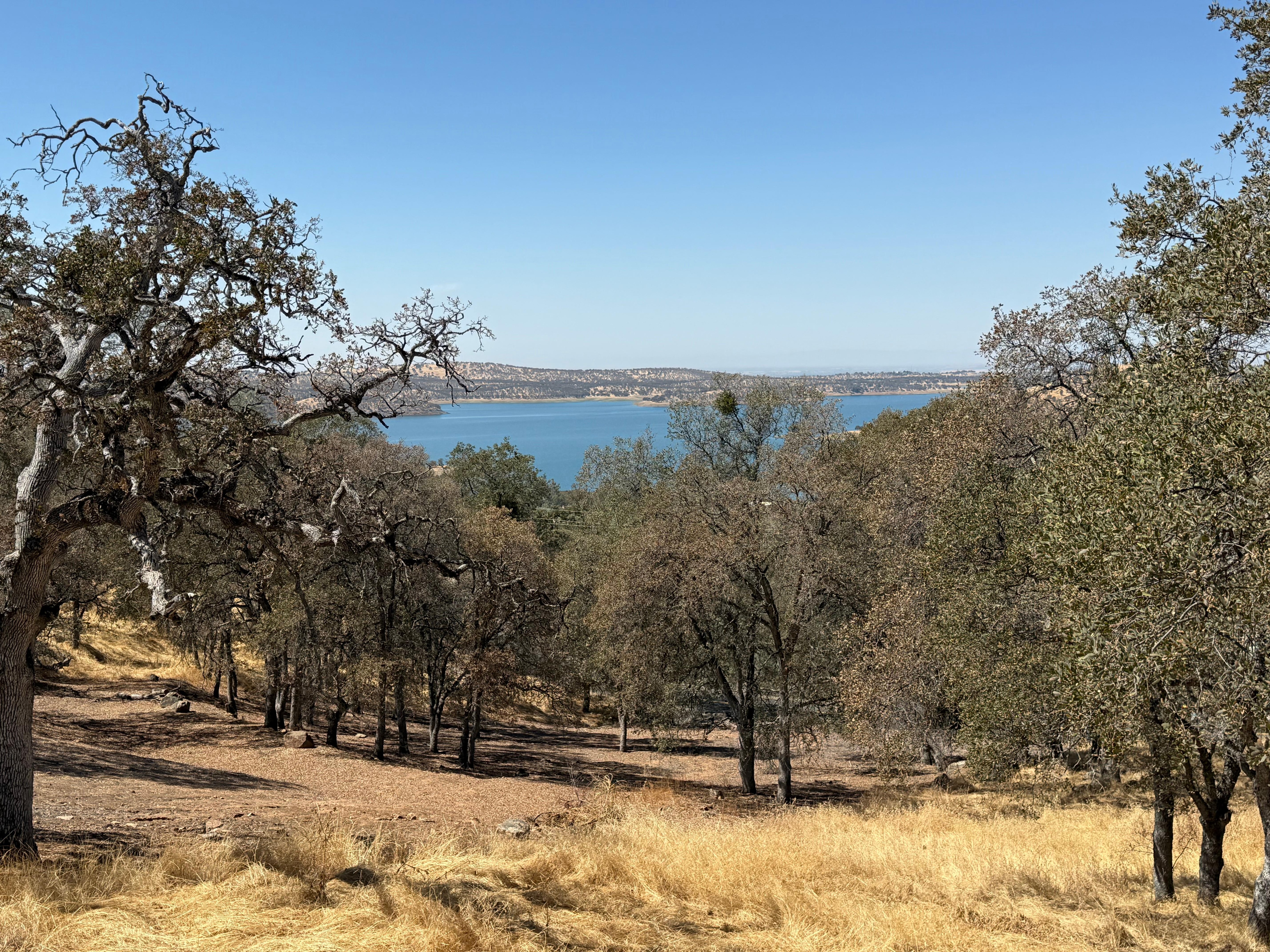 View of the lake from the house.