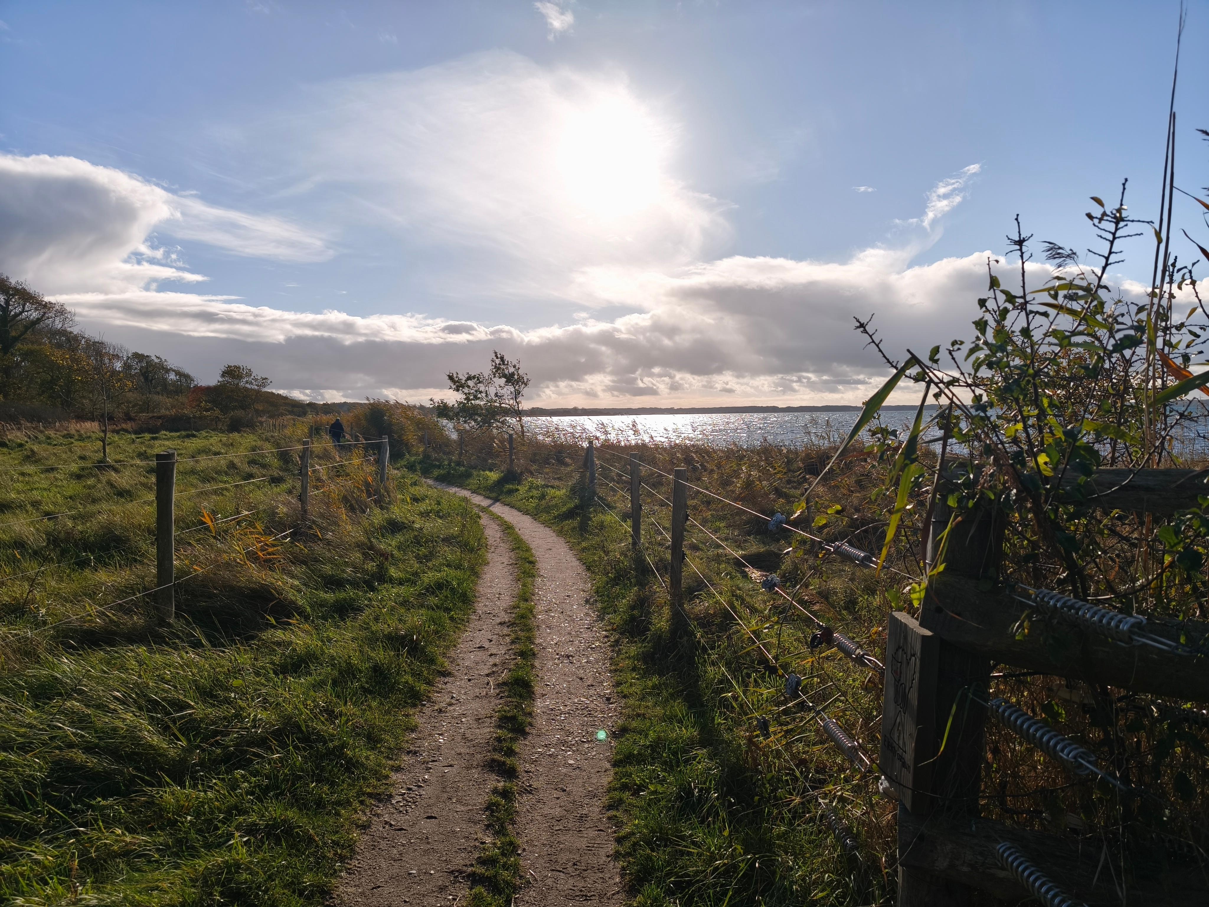 Naturschutzpark Geltinger Birk 