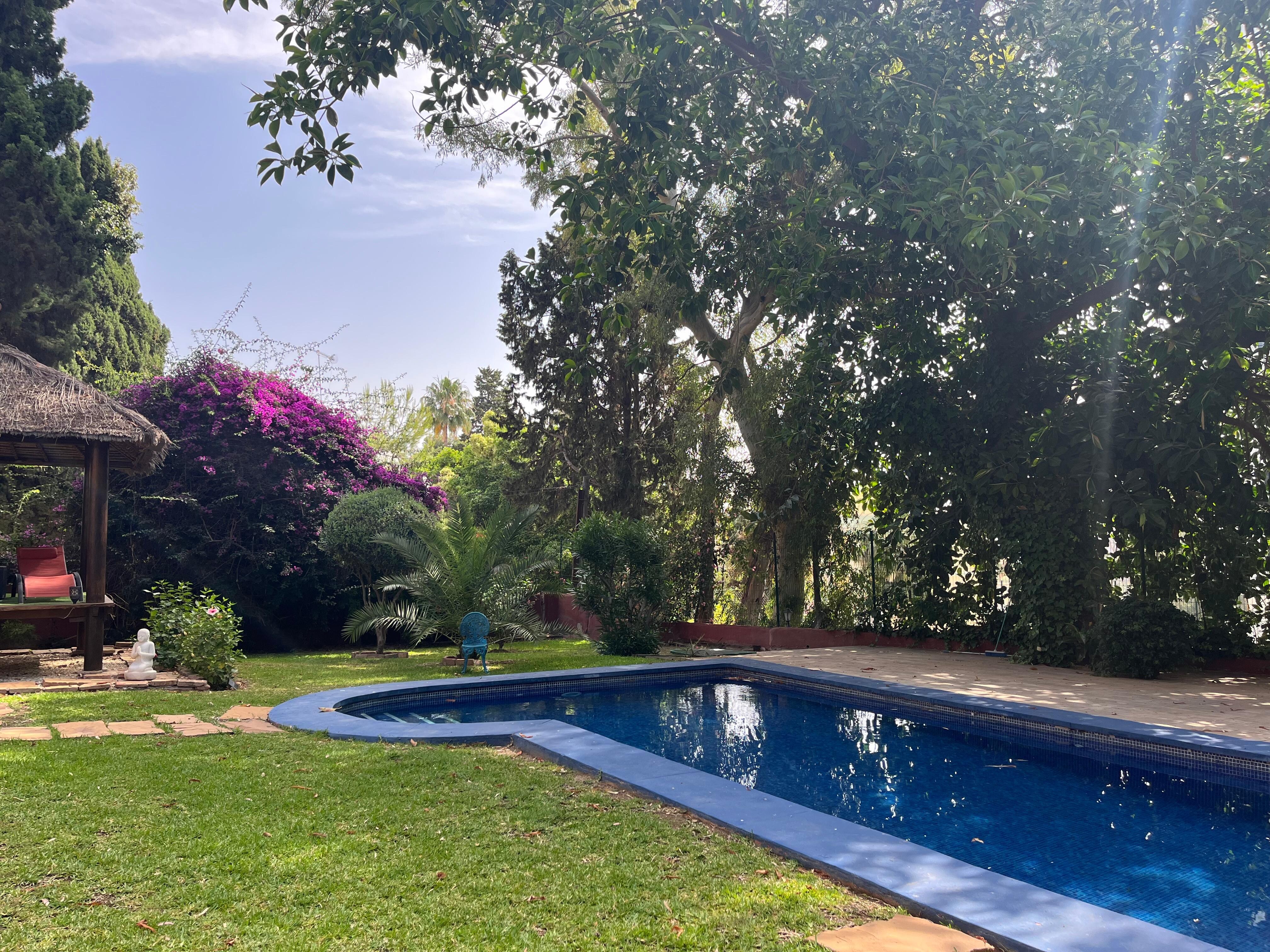 The tranquil pool. 