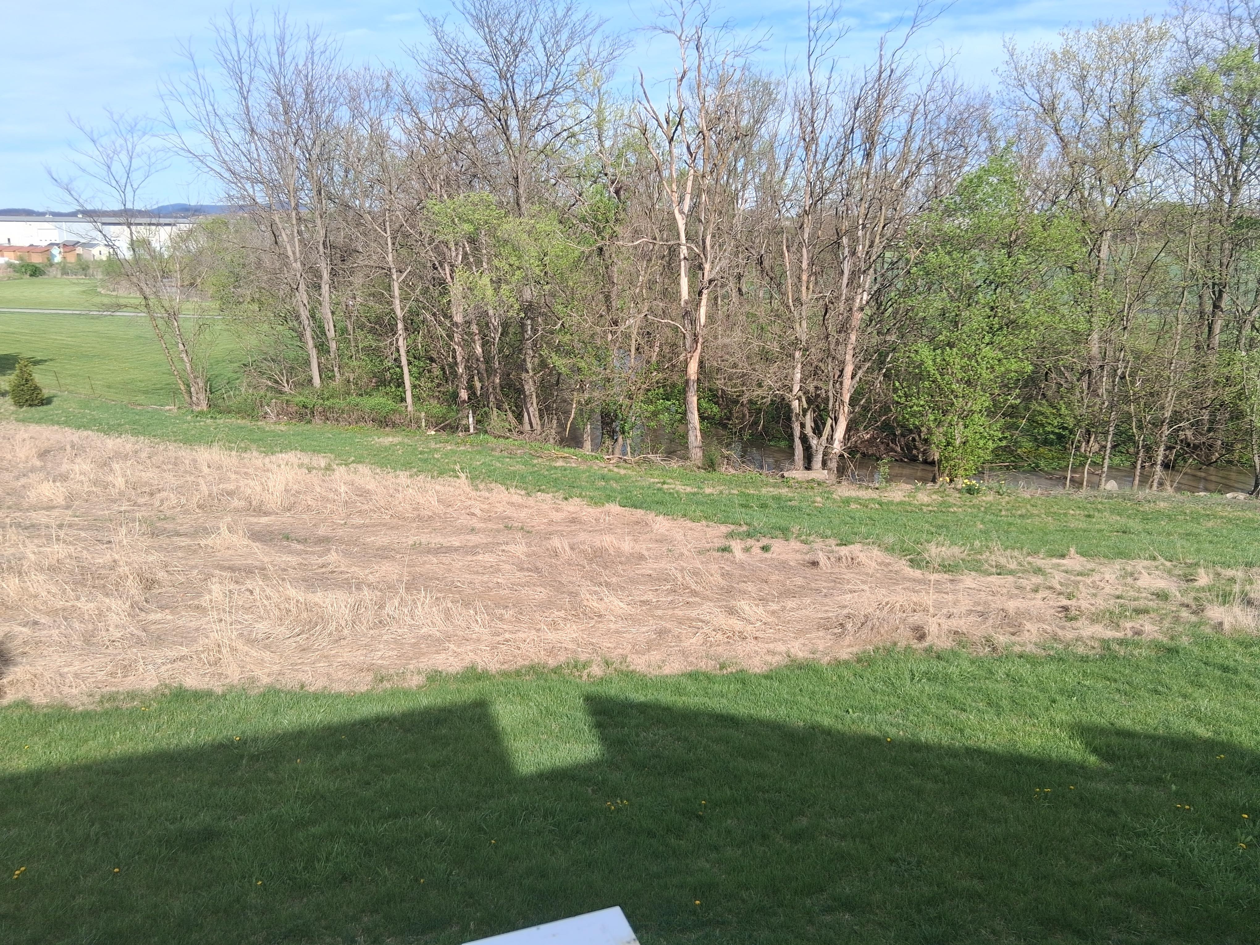 View from my balcony. 