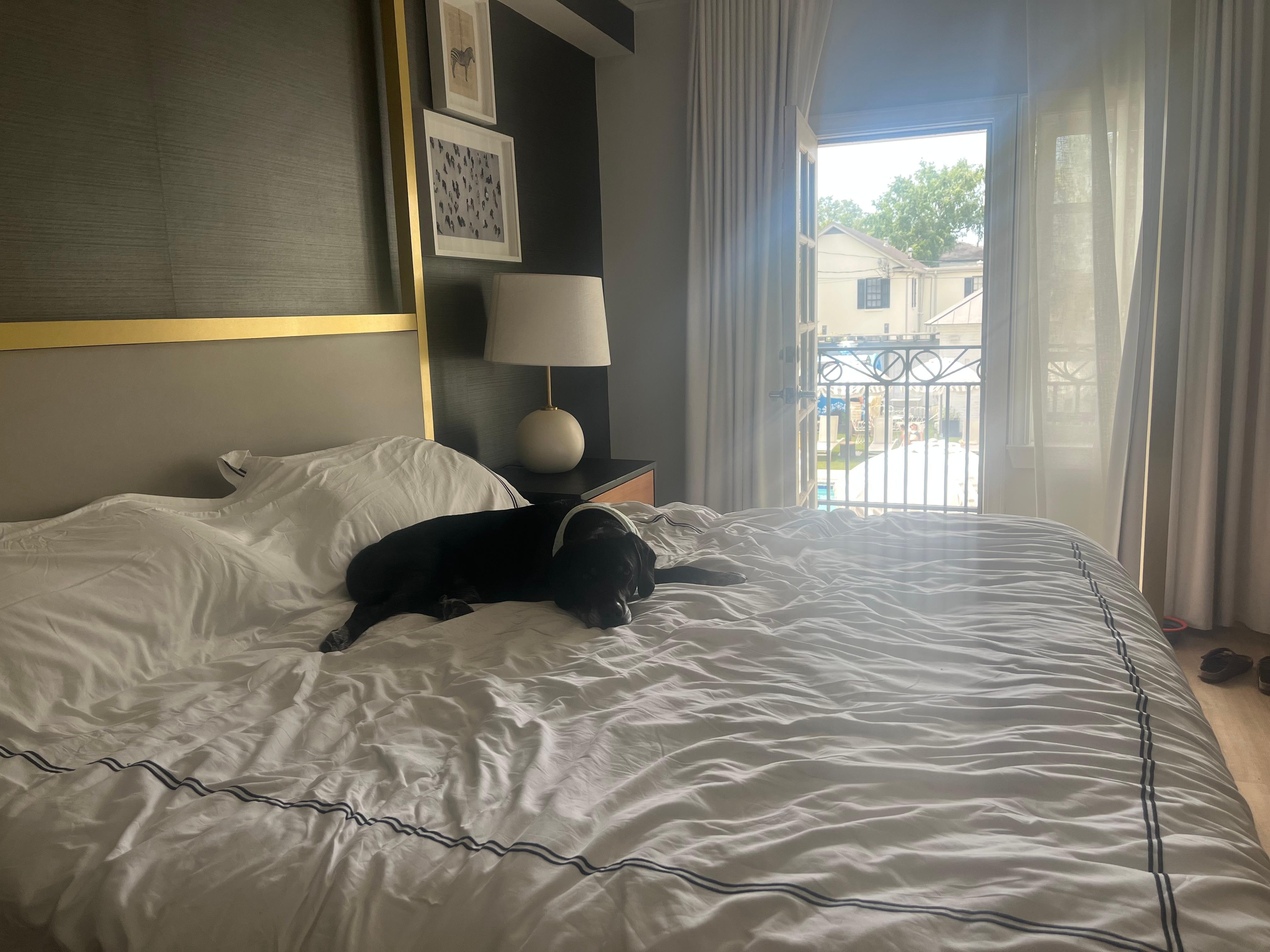 No better place for a nap!