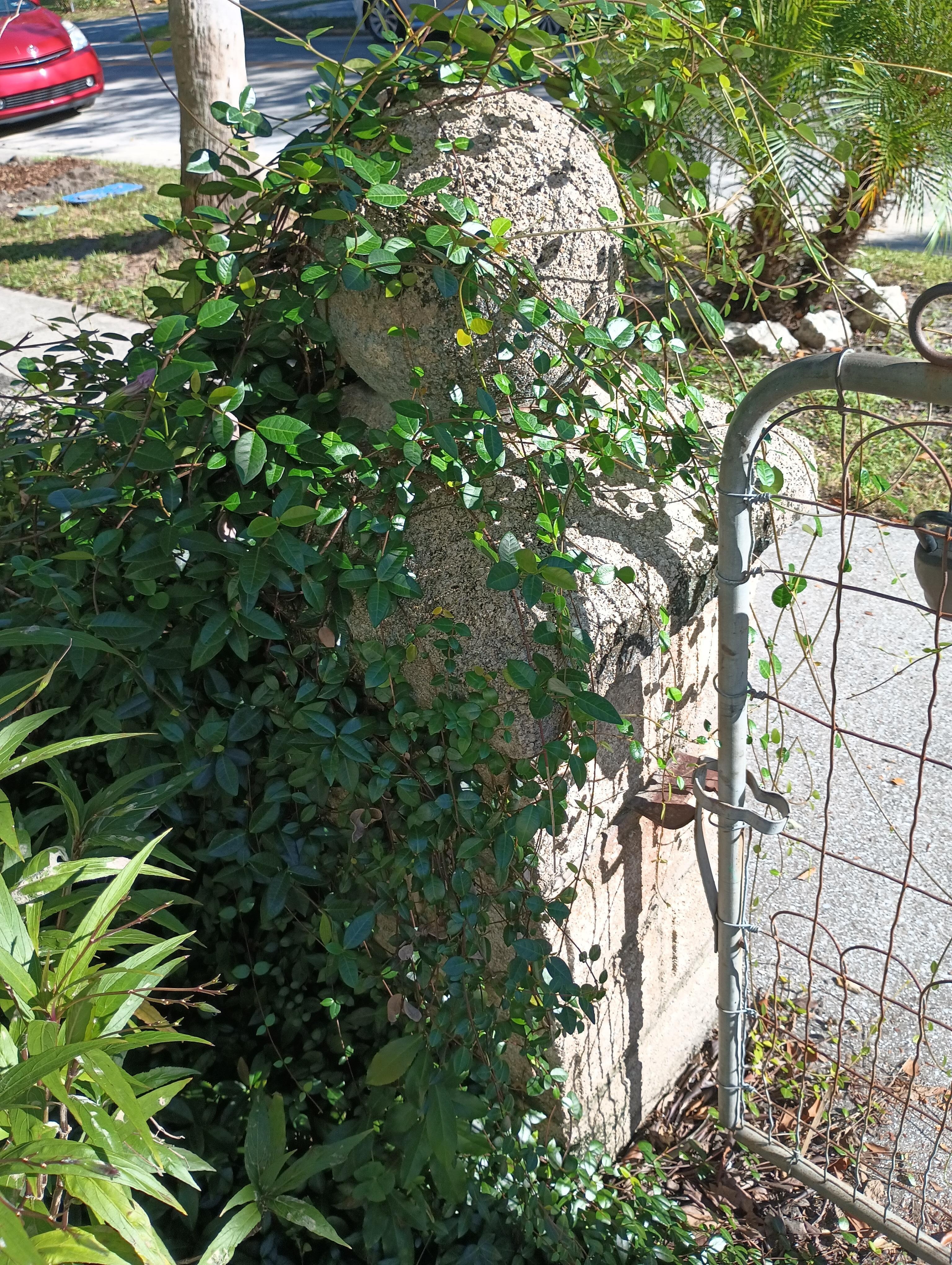 Weeds all over and gate broken made it hard to get in and out 