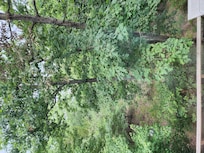 View from loft