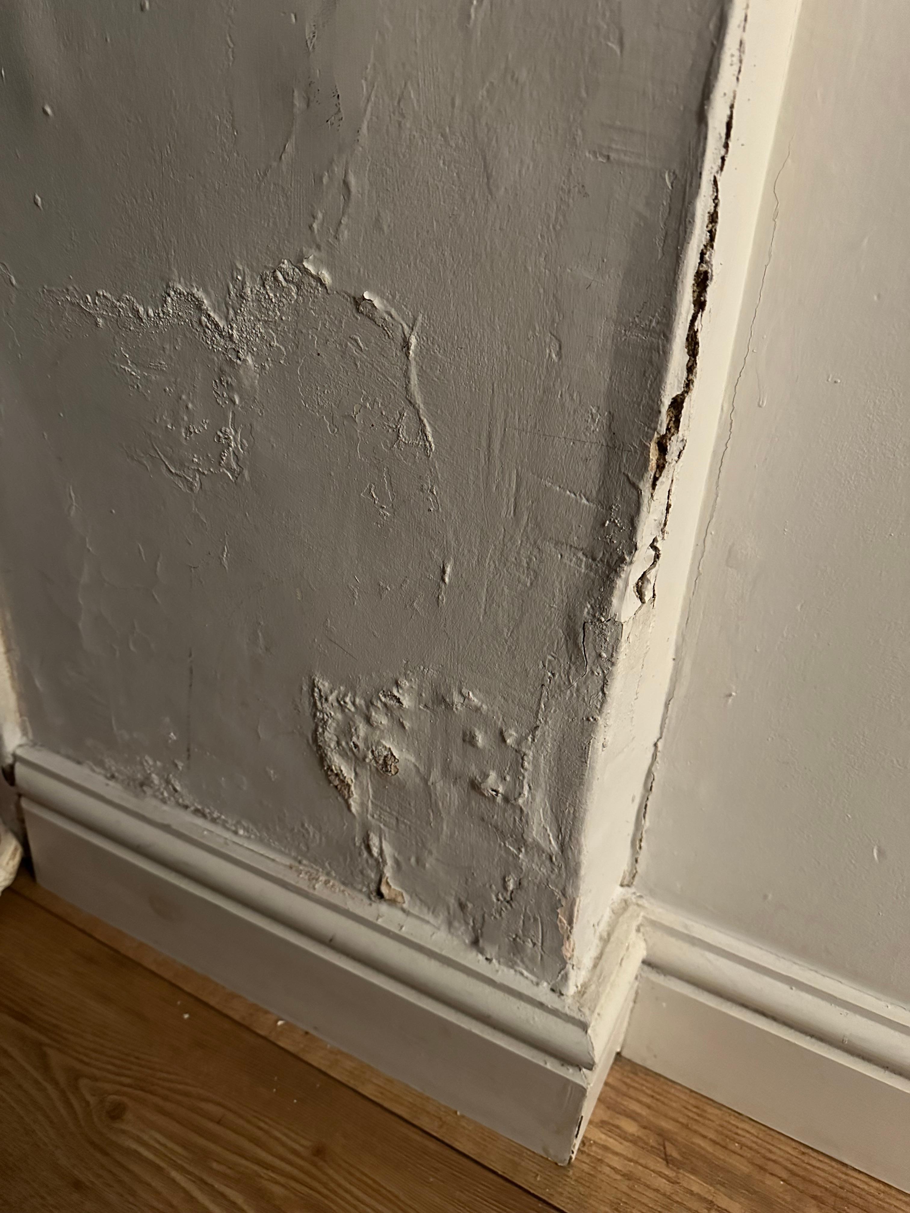  Damp, peeling walls triggering allergies 