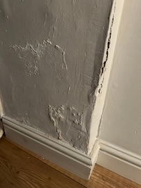 Damp, peeling walls triggering allergies