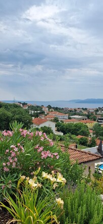 Diese Aussicht gibt es von der Terrasse aus.