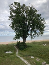 Looking out toward beach