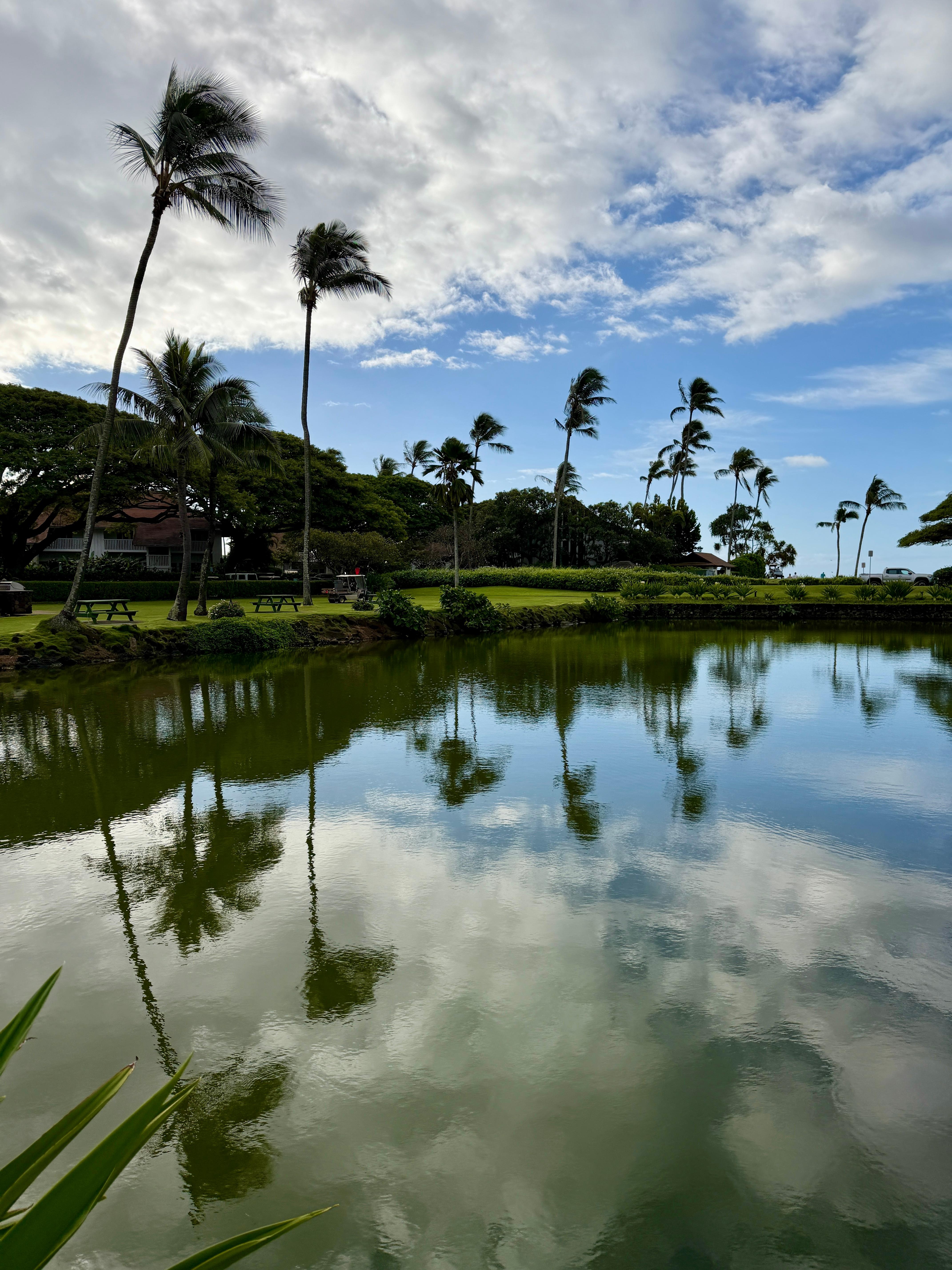 Kiahuna Plantation as a Beautiful pond  