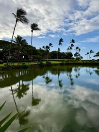 Kiahuna Plantation as a Beautiful pond