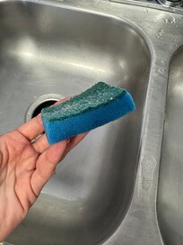 The sponge to clean our dishes. HELL NO.