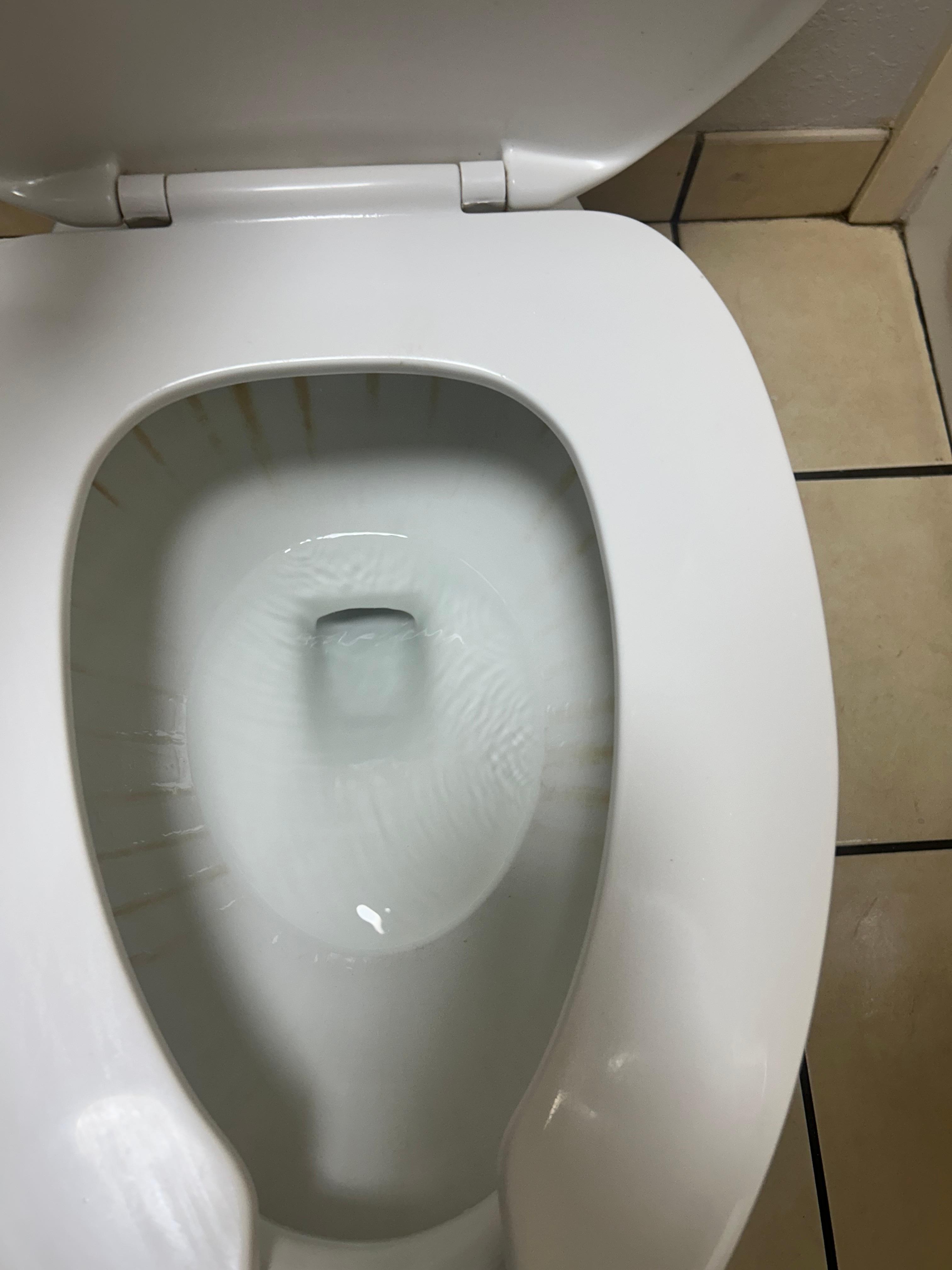 Inside of toilet