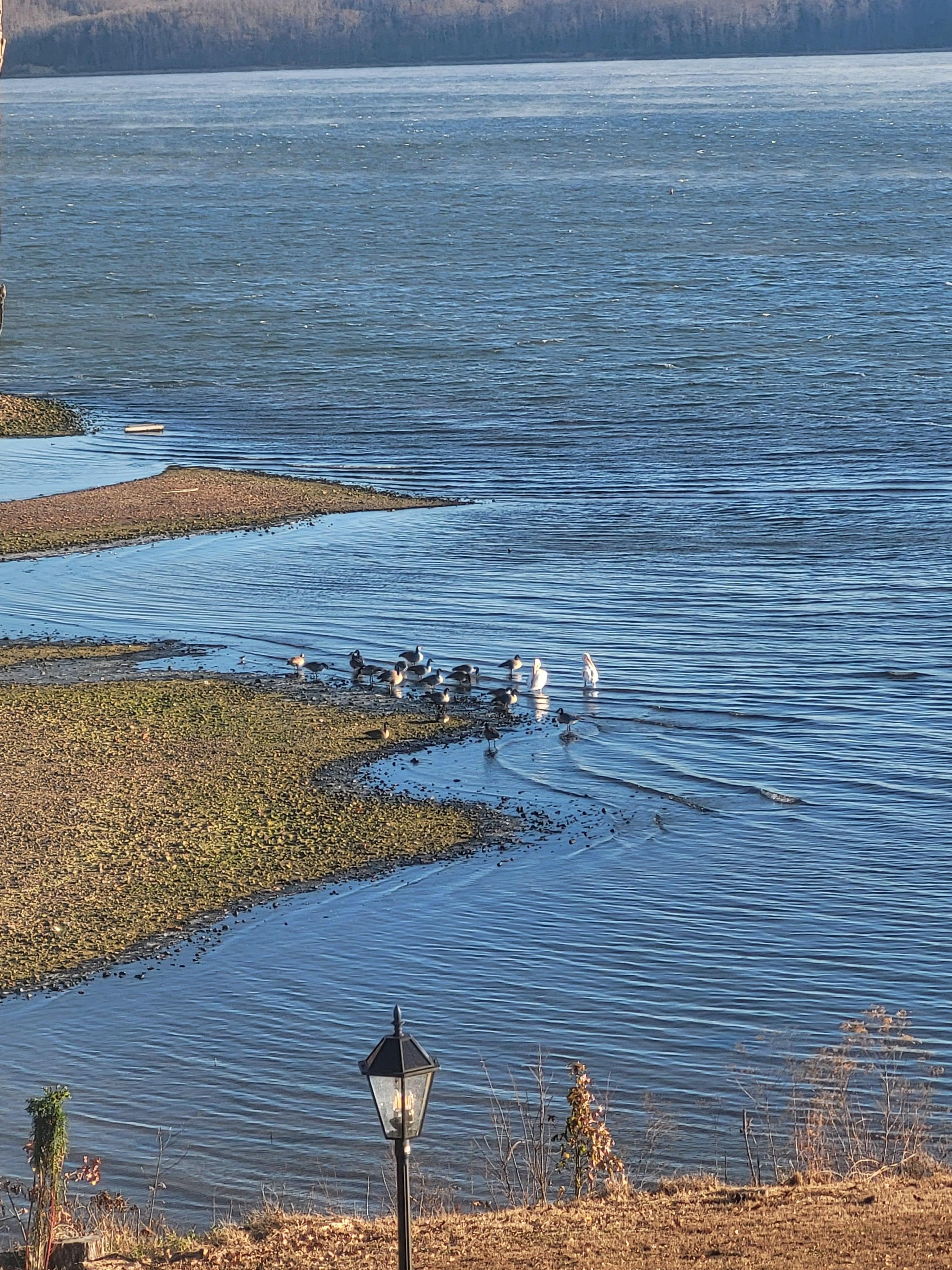 Wildlife at your fingertips.