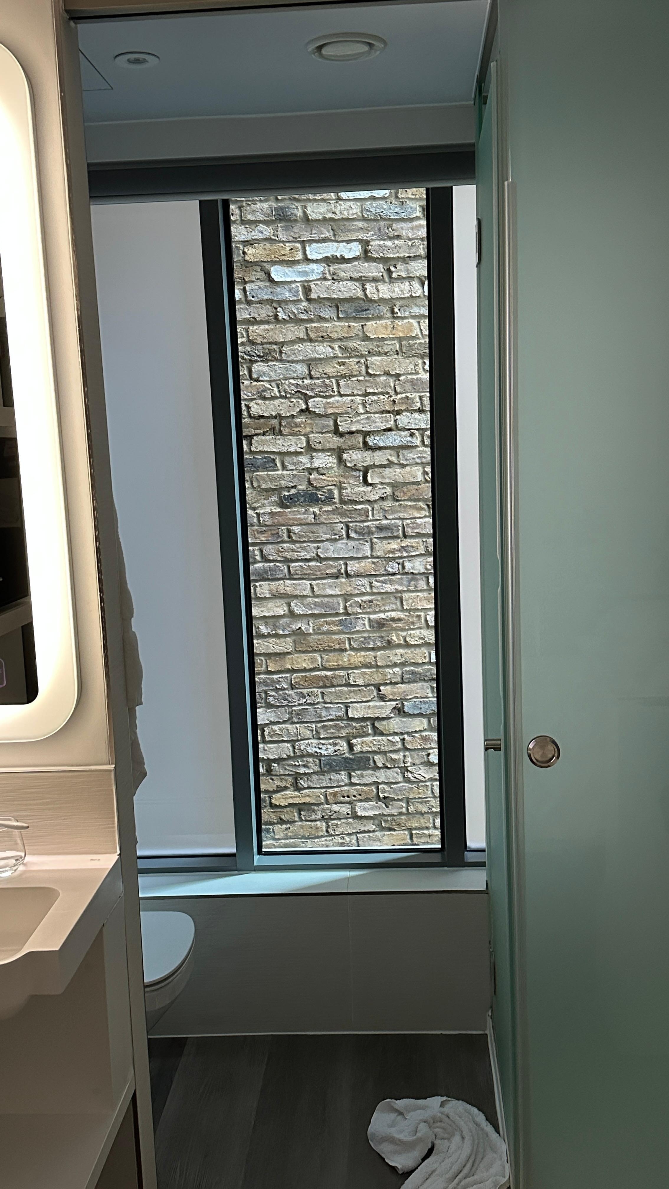 The only window in the bathroom facing a brick wall