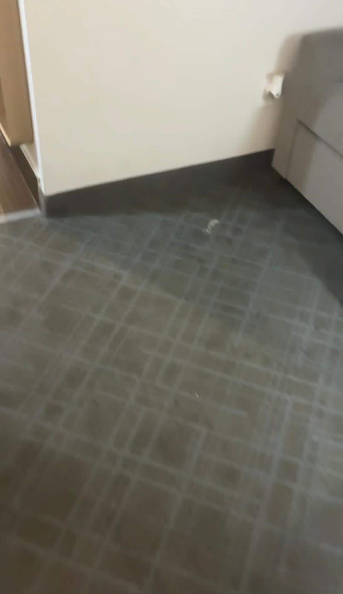 Stain on floor