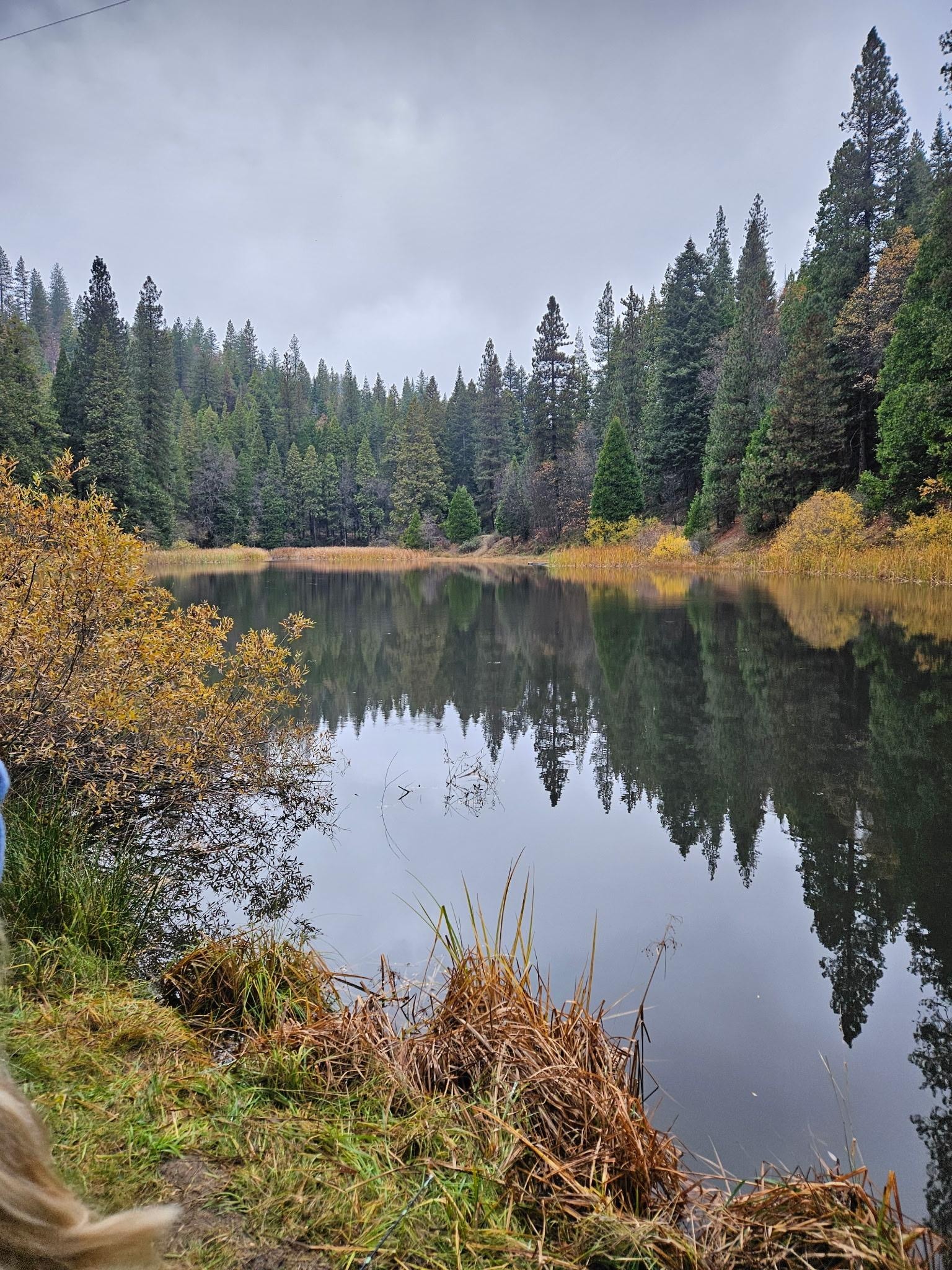 The pond at Sugar Pine