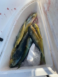 Nice day offshore.