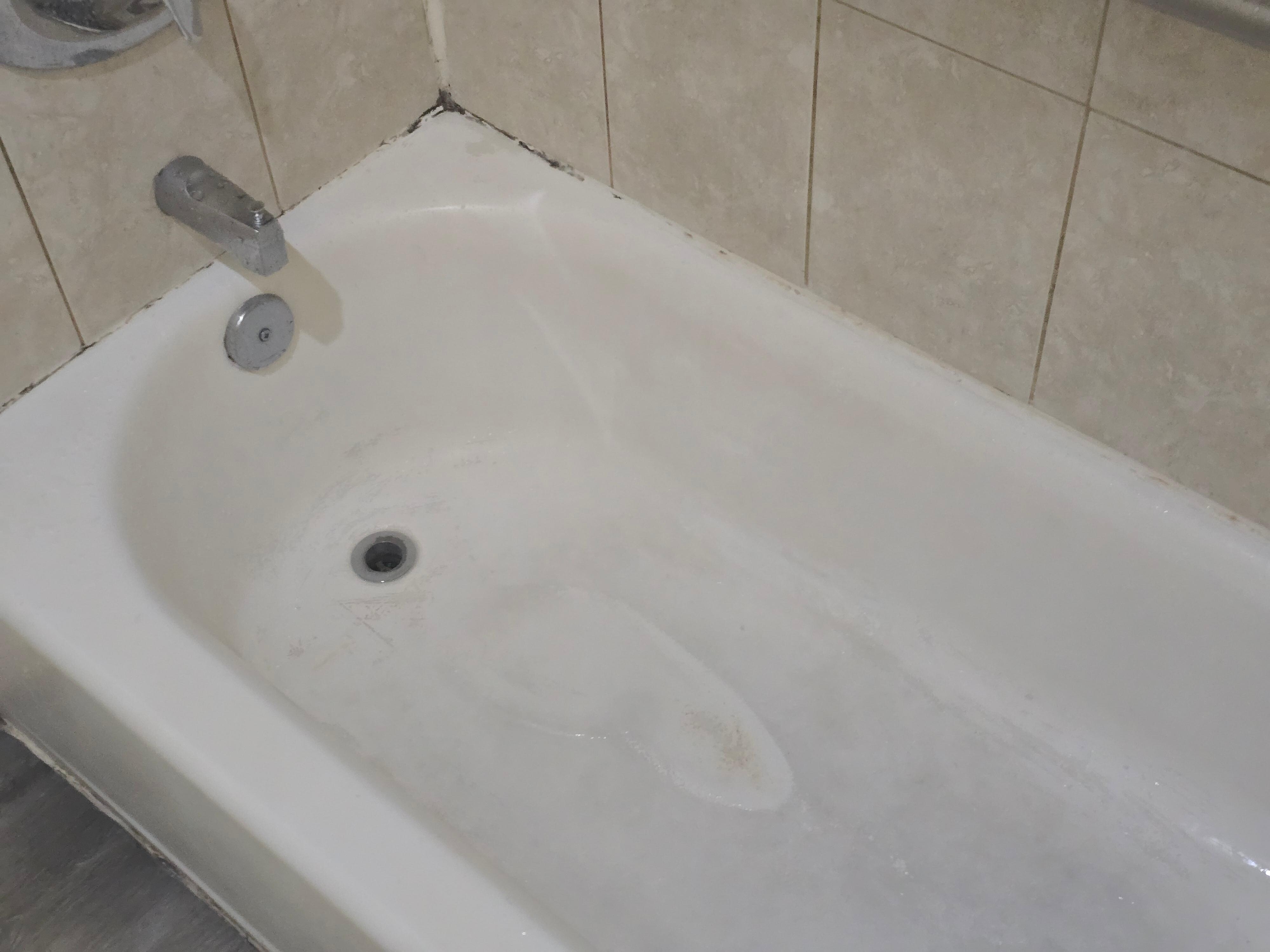 Dirty tub with mold.