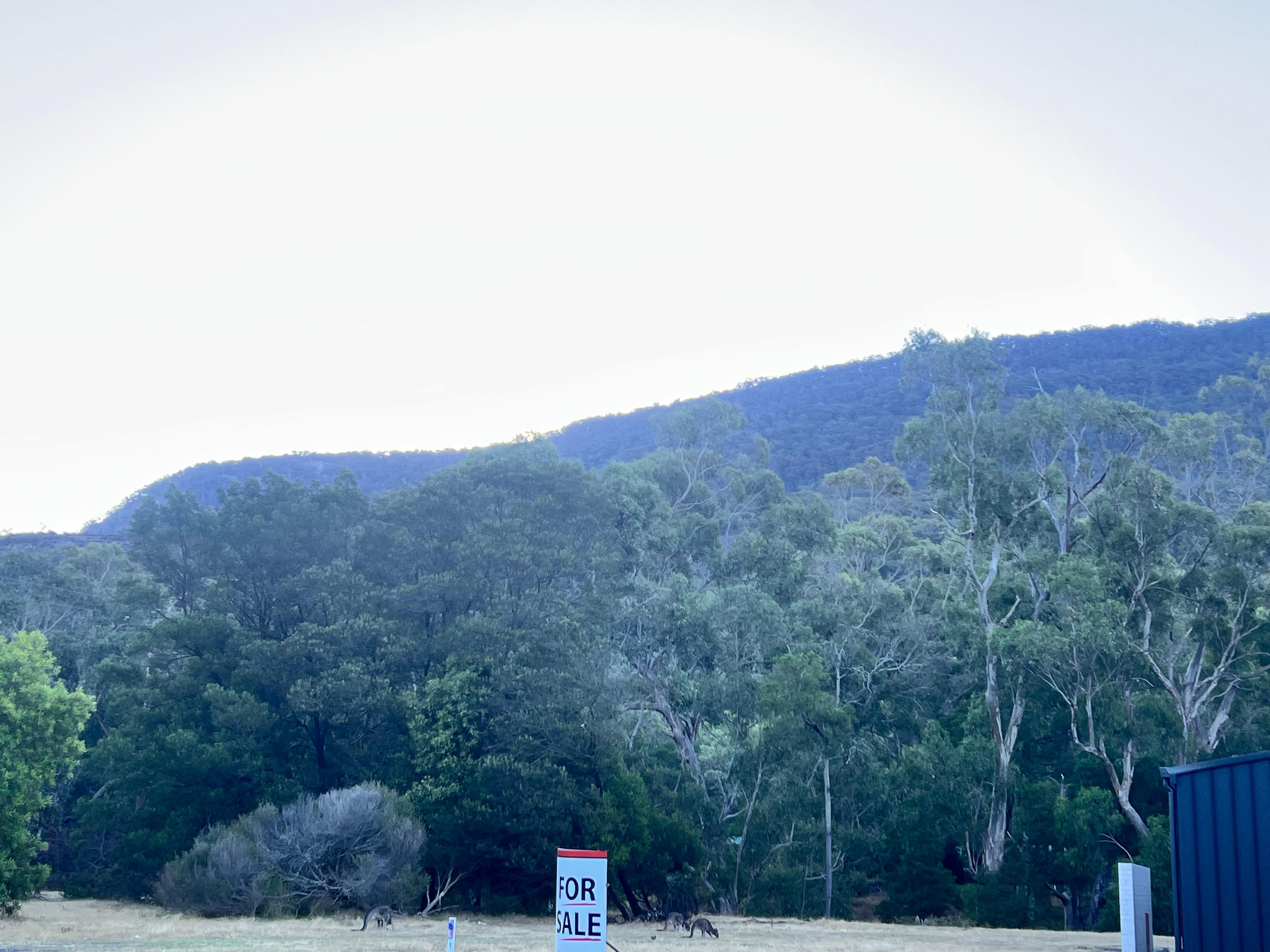 Beautiful view of the mihbtains