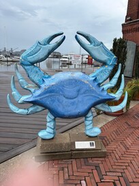 At the harbor