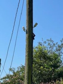 Camera 3 (on the left) on a utility pole facing downward onto the entire pool area. Right camera facing onto the back yard