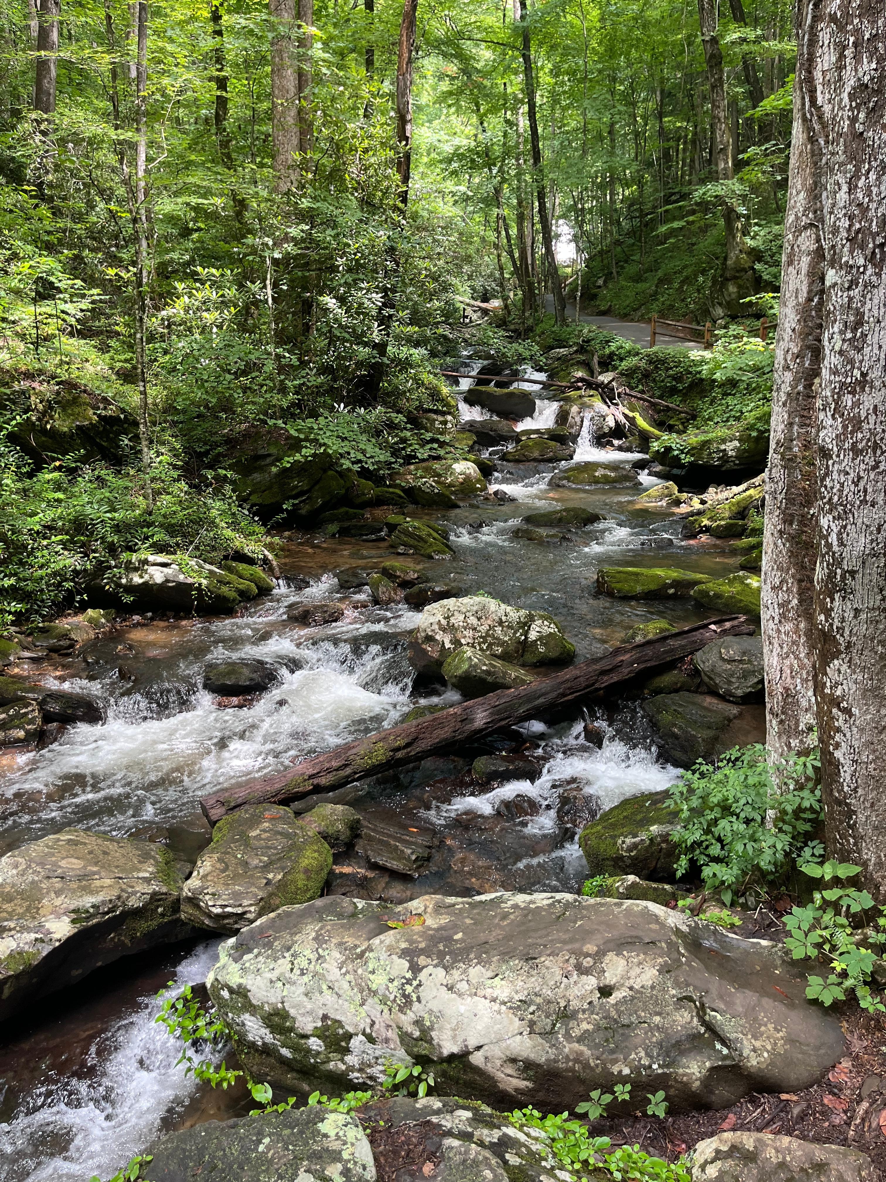 Stream at Anna Ruby Falls