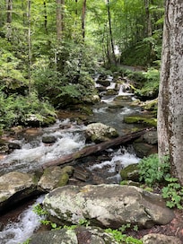Stream at Anna Ruby Falls