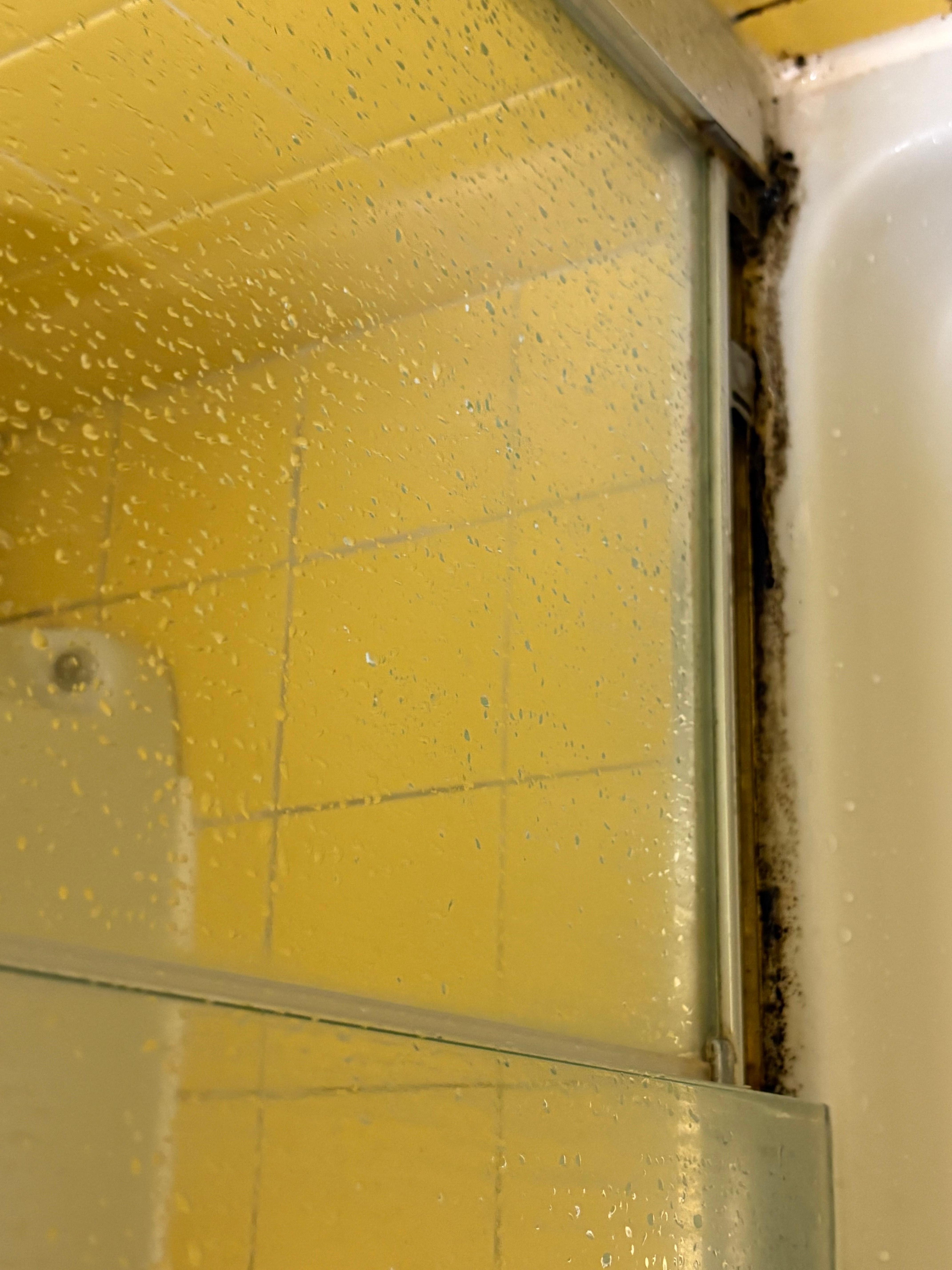 Shower mold. 