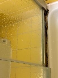 Shower mold.