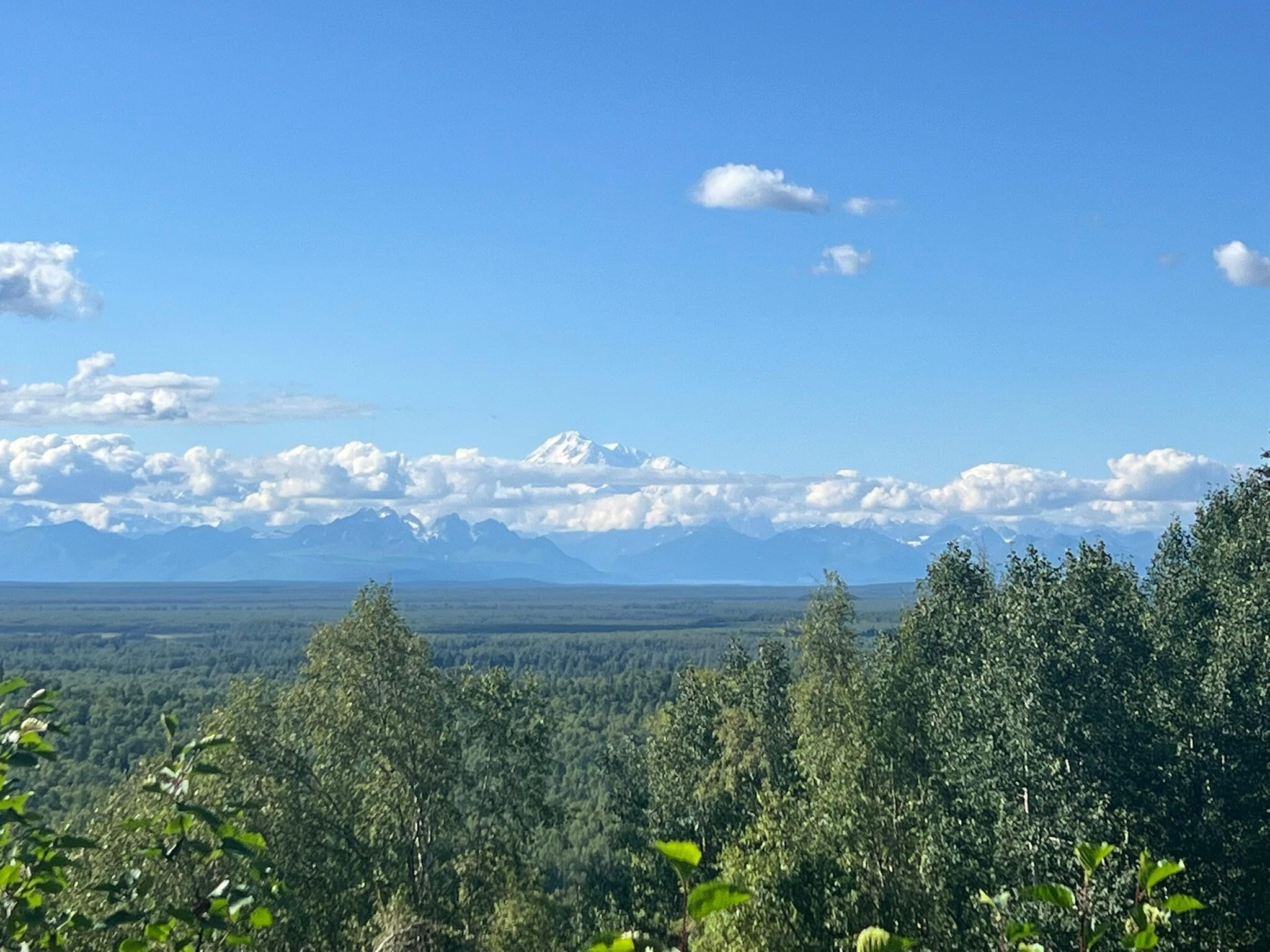View of Mt. Denali, Mt. Hunter and Mt Foraker. Amazing!!
